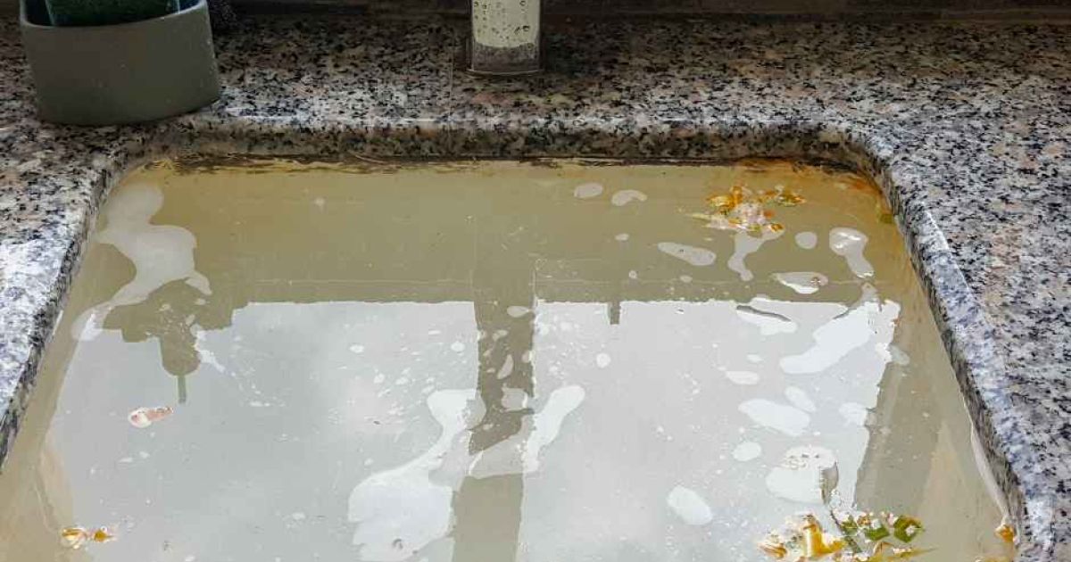 Why Sarasota Homes Experience Recurring Drain Backups (Beyond Basic Clogs)